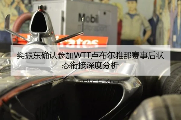 樊振东确认参加WTT卢布尔雅那赛事后状态衔接深度分析